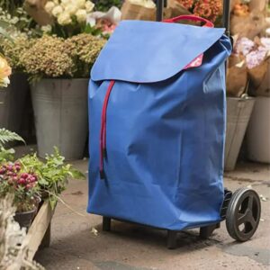 Kolica za pijacu Easy go blue