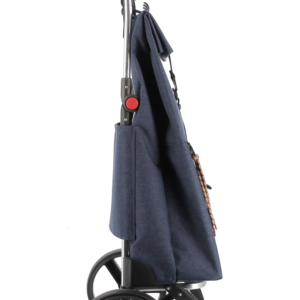 Kolica za pijacu BIG TWEED 2L RSG