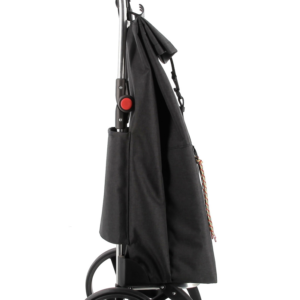 Kolica za pijacu BIG TWEED 2L RSG